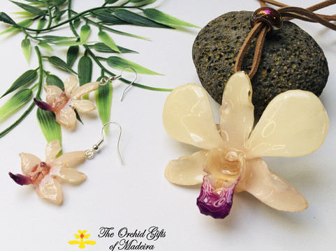 Orchid Gifts of Madeira-沙尔必去景点