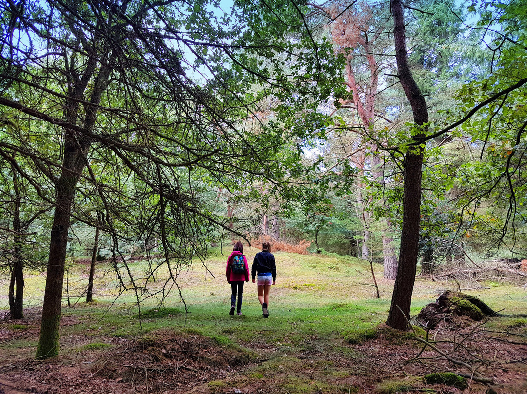 The Nature Game-Spier必去景点