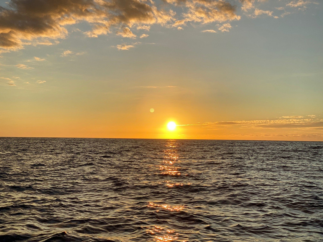 Kohala Sail & Sea景点图片