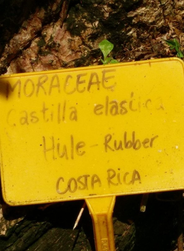 Finca La Isla景点图片