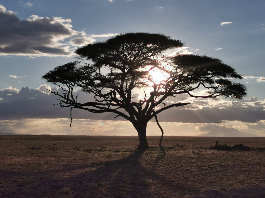 Arlom Safaris景点图片