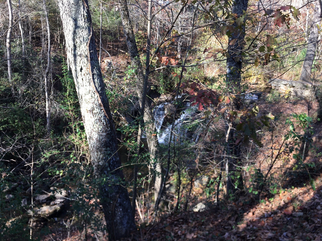 Cupid Fall Park-Young Harris必去景点