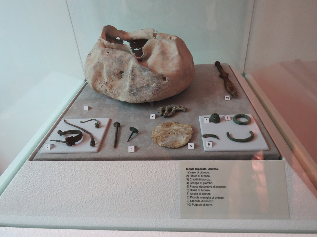 Museo Civico "Don G. Guarnieri"景点图片