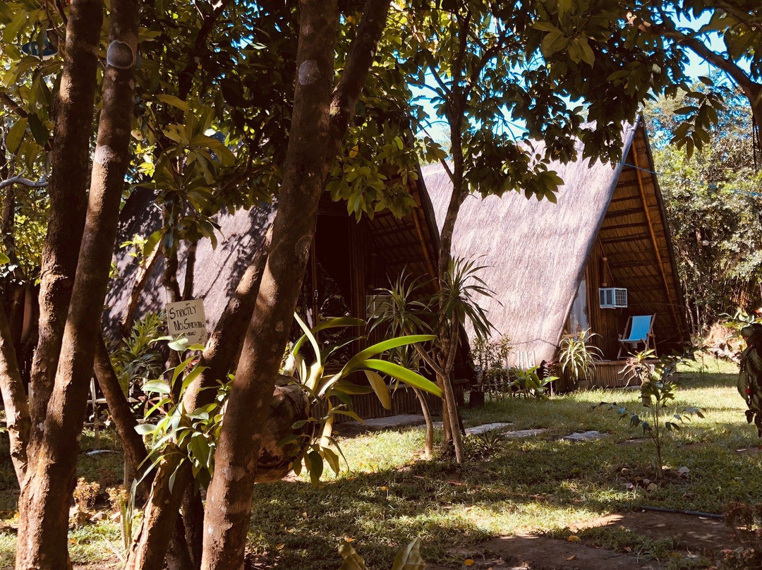 Balili Farm At Nacpan主图