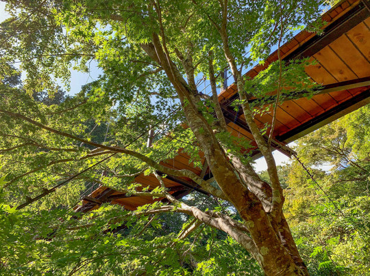Hikawa Valley-奥多摩町必去景点