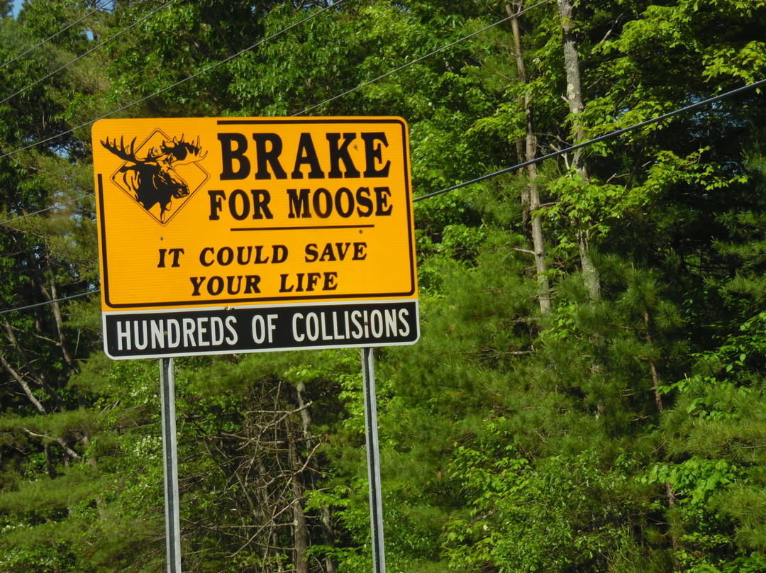 Whittier Covered Bridge-Ossipee必去景点