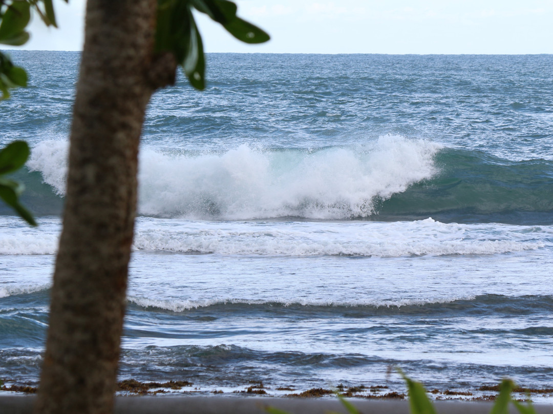 阿育吠陀百利宫酒店主图