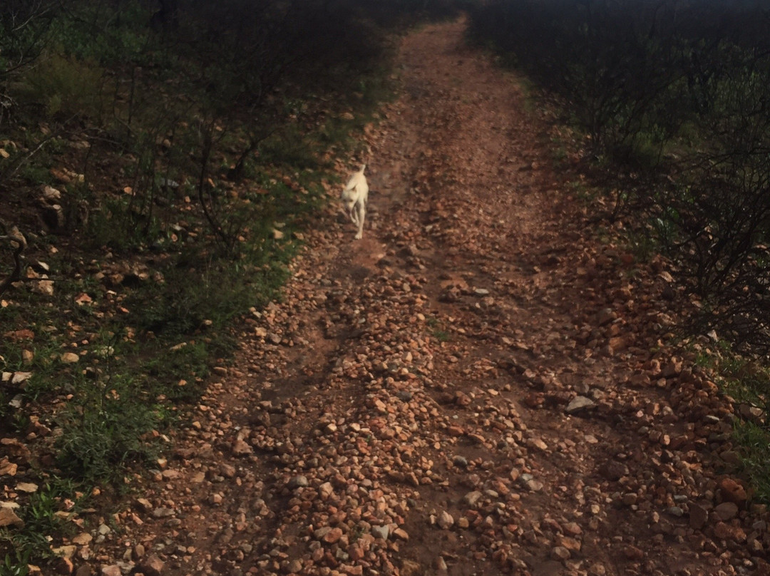 Opal Mines-Tequisquiapan必去景点
