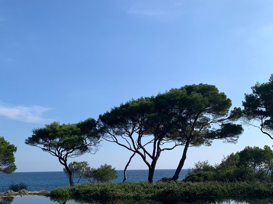 Pleta de Mar Luxury Hotel By Nature主图