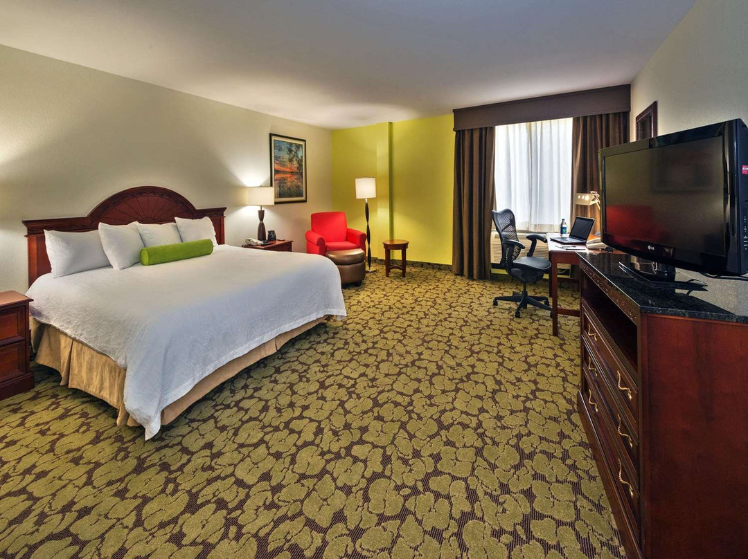 Hilton Garden Inn Lafayette/Cajundome主图