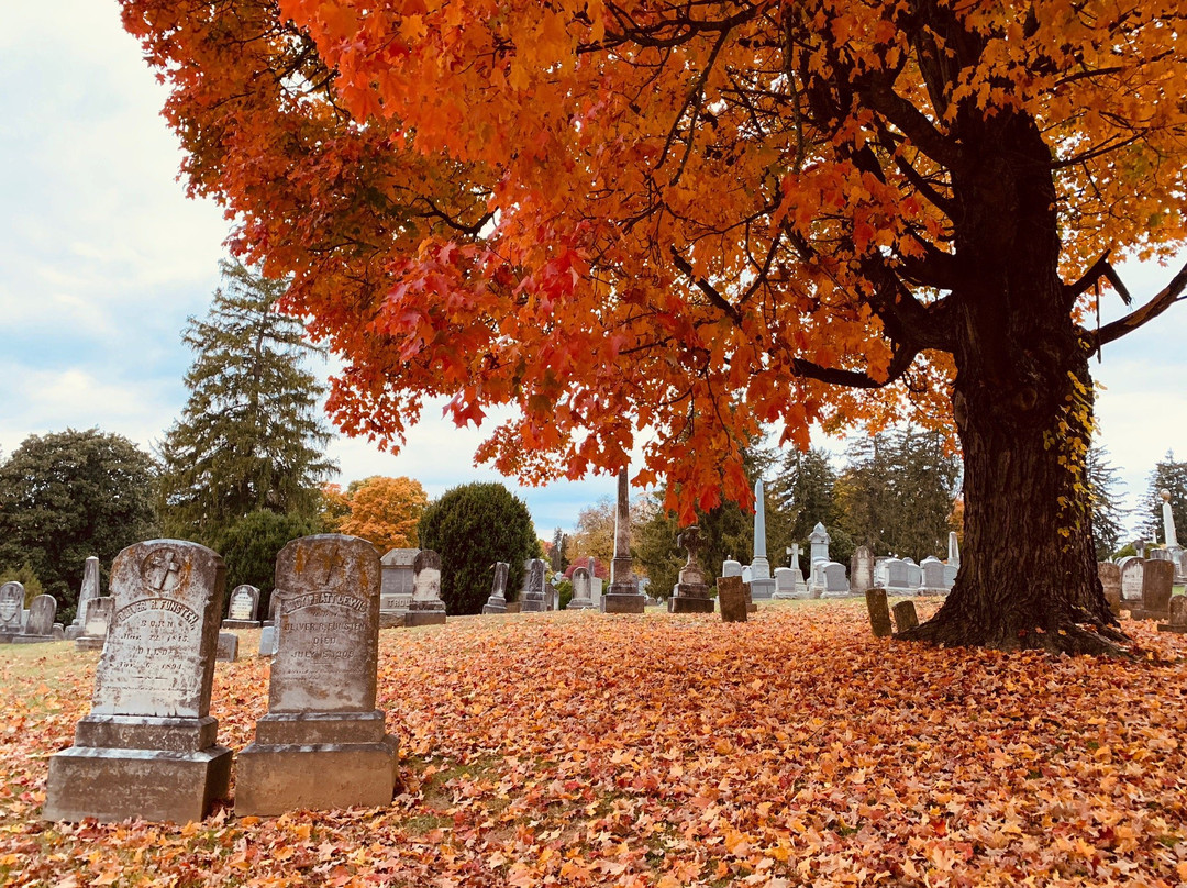 Thornrose Cemetery景点图片