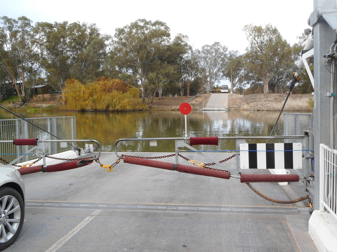 River Murray Ferries景点图片