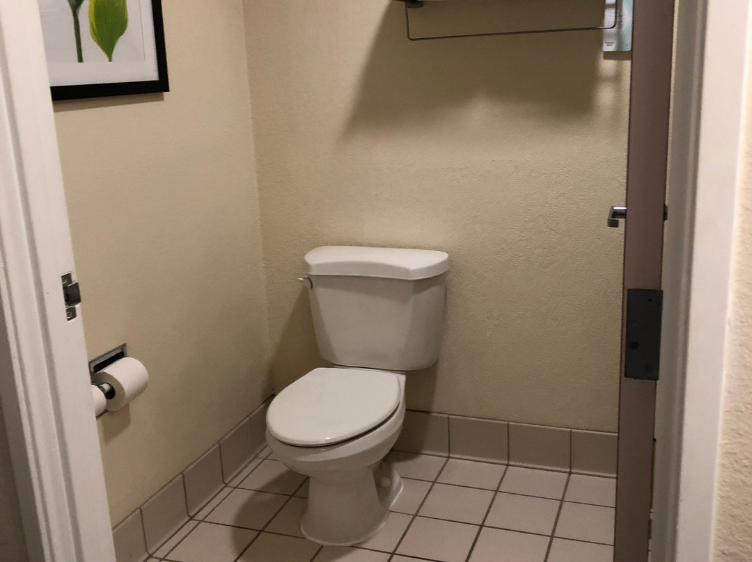 Fairfield by Marriott Inn & Suites Tampa North主图