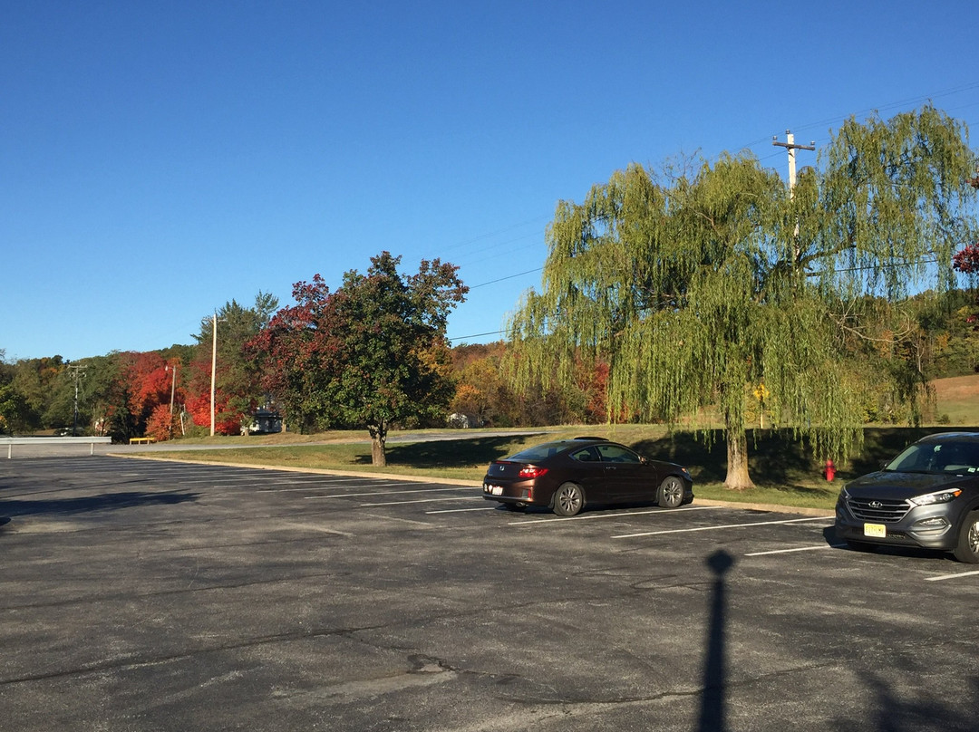 Comfort Inn & Suites Raphine - Lexington Near I-81 and I-64主图