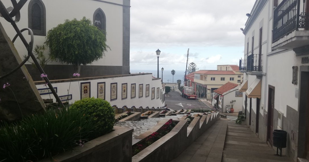 Paseo de Canarias景点图片
