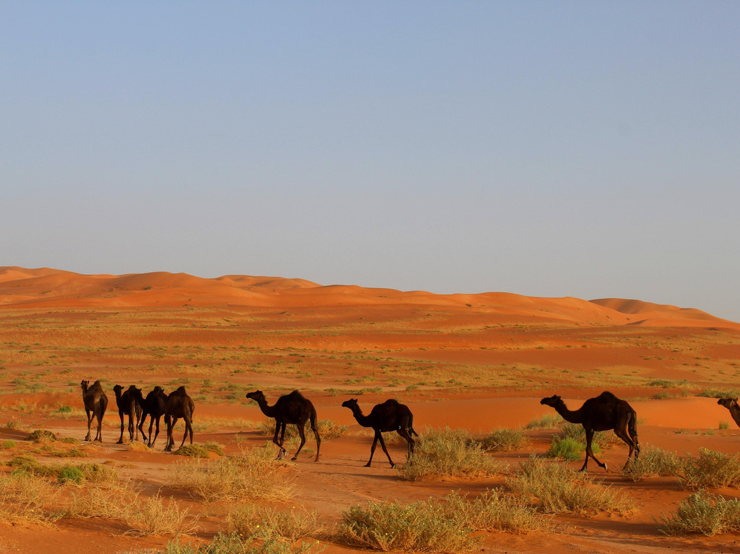 Majan Views - Oman Adventure Tour