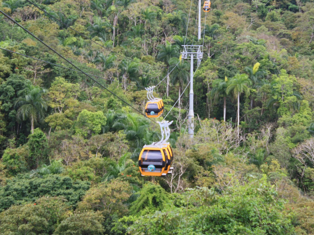 La Marquesa Forest Park景点图片