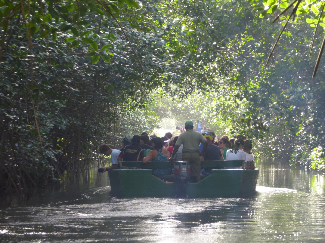 Nanan's Caroni Bird Sanctuary Tours