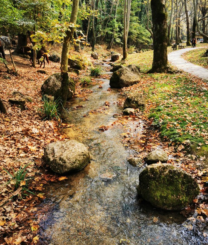 Nisi Margaritas Hotel主图