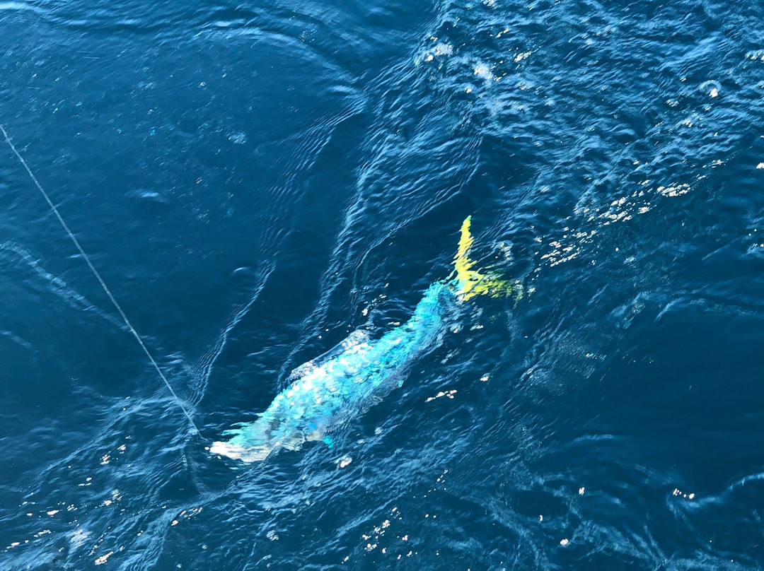 Phideaux Fishing-Wanchese必去景点