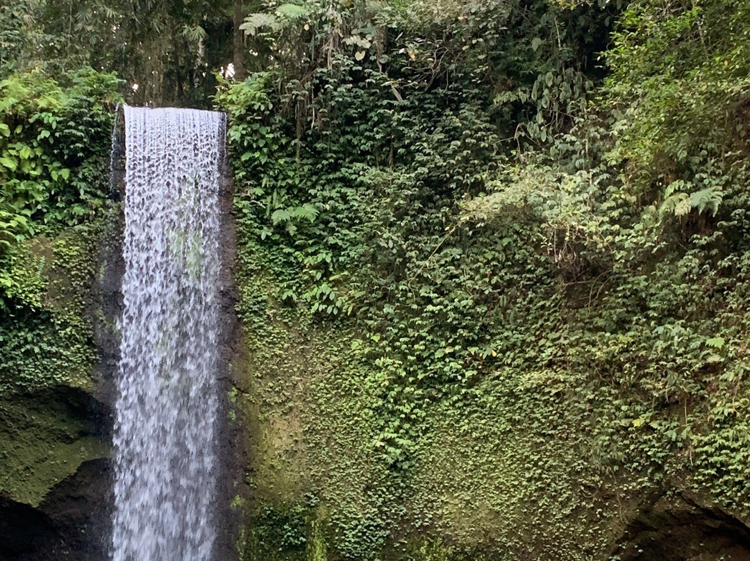 Tibumana Waterfall景点图片