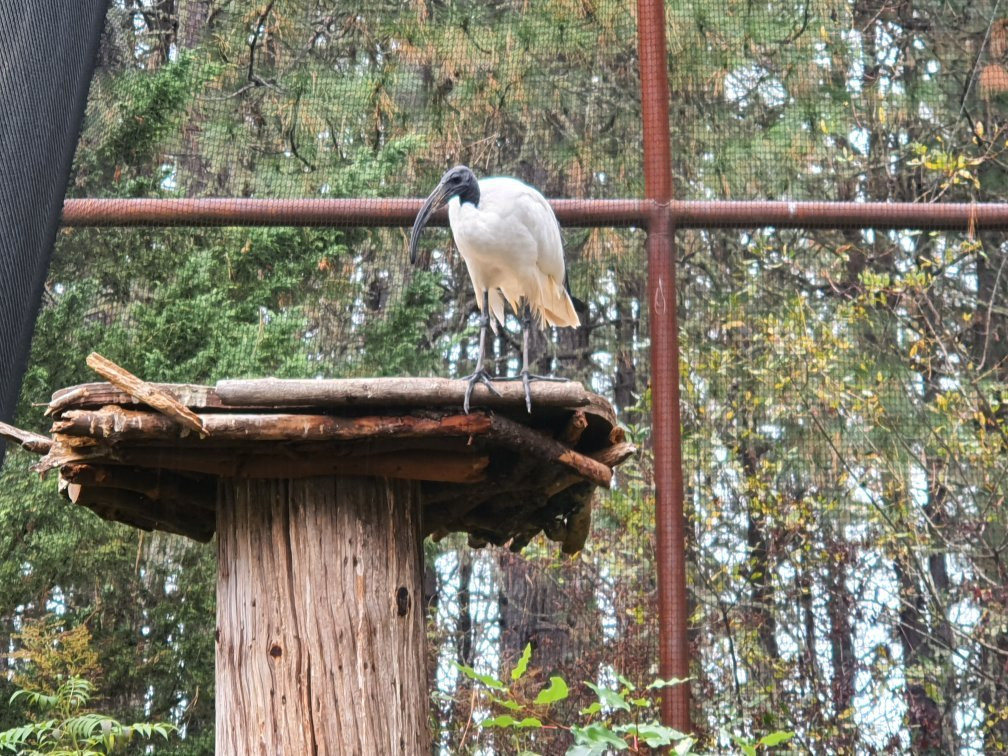 Wildlife Images - Rehabilitation & Education Center-格兰茨帕斯必去景点