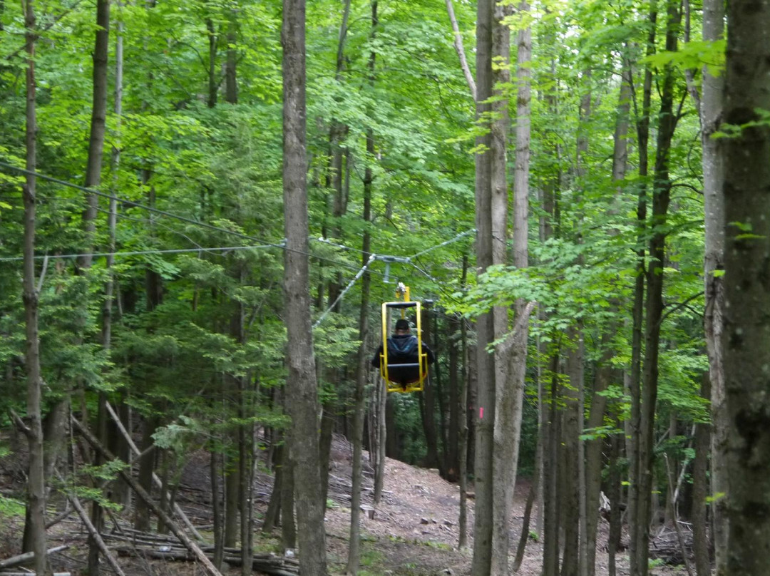 VeloVolant-Sutton必去景点