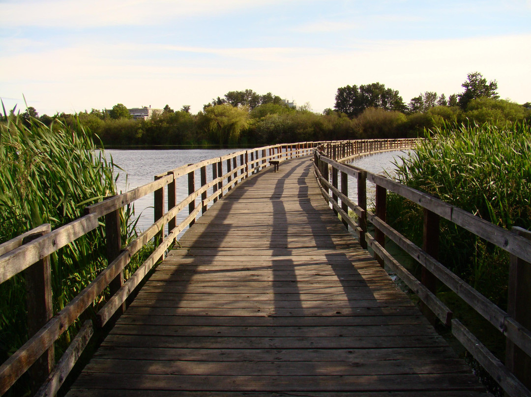 Swan Lake Christmas Hill Nature Sanctuary景点图片