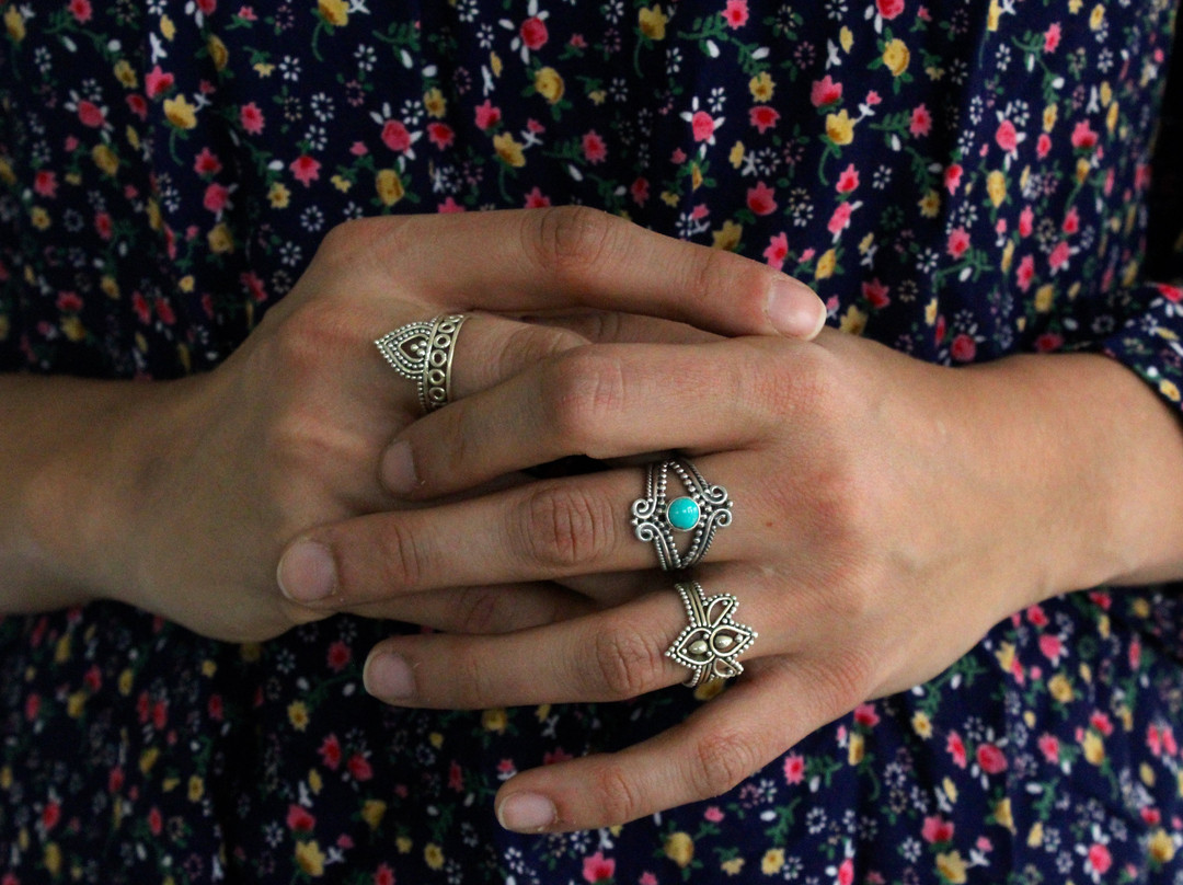 Beloeil旅游景点-Boutique l'Antilope