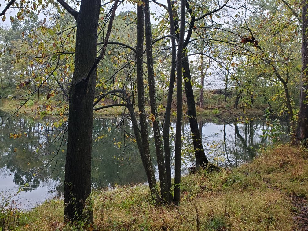 The Stone House Bed and Breakfast主图