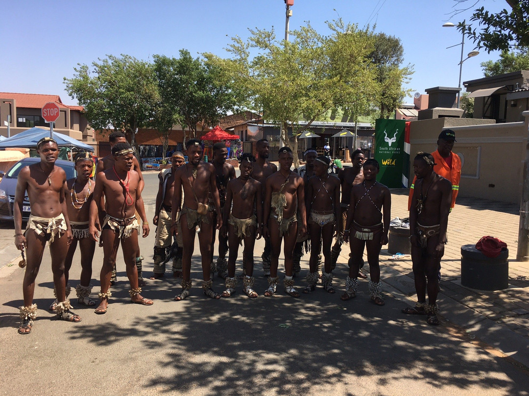 African Eagle Joburg Daytours景点图片
