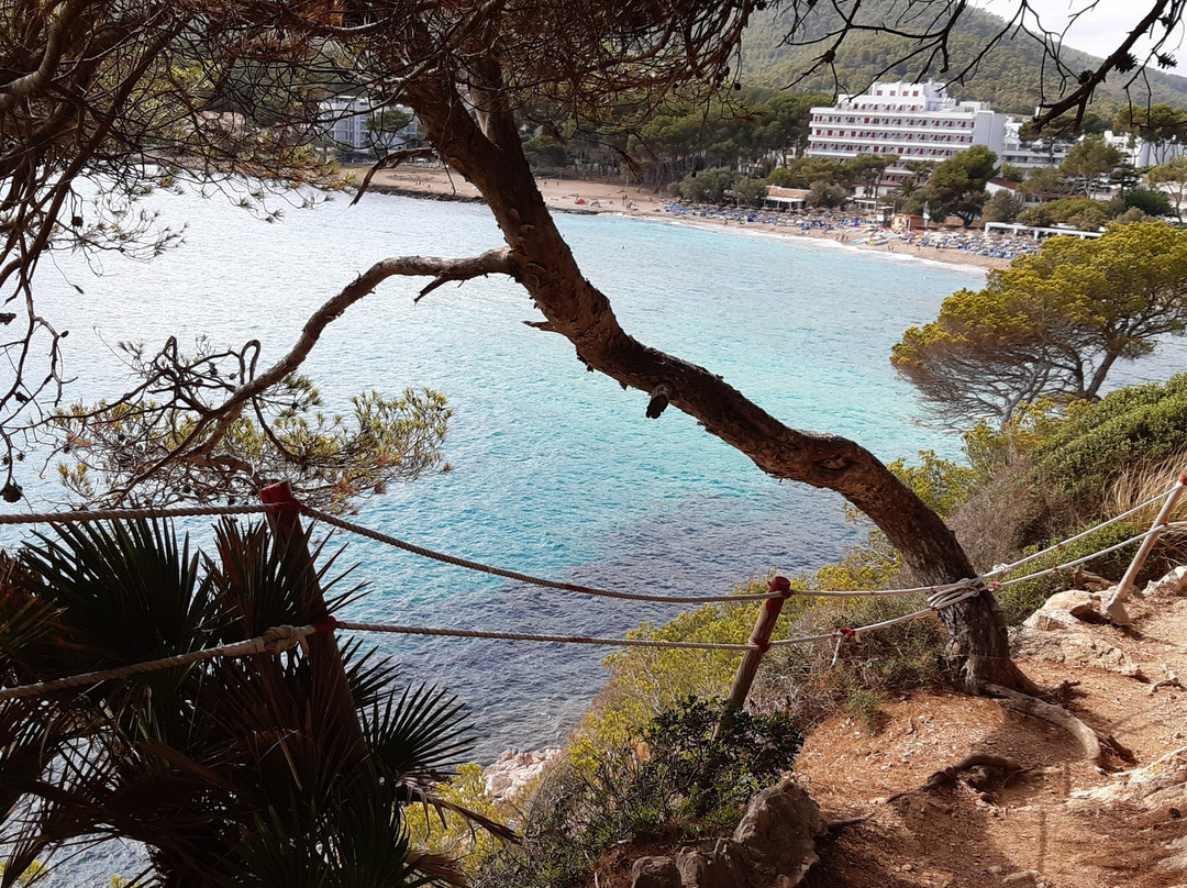 Platja de Canyamel-Canyamel必去景点