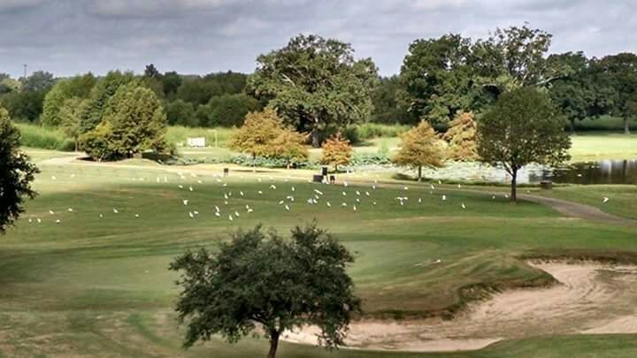 Olde Oaks Golf Club景点图片