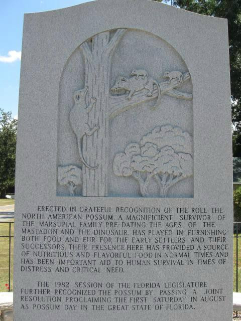 Wausau旅游攻略图片