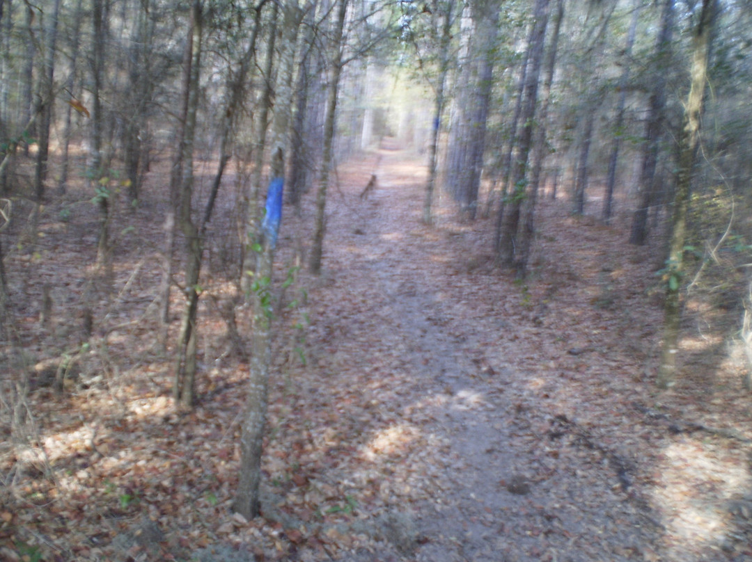 McCulley Farm-Jasper必去景点