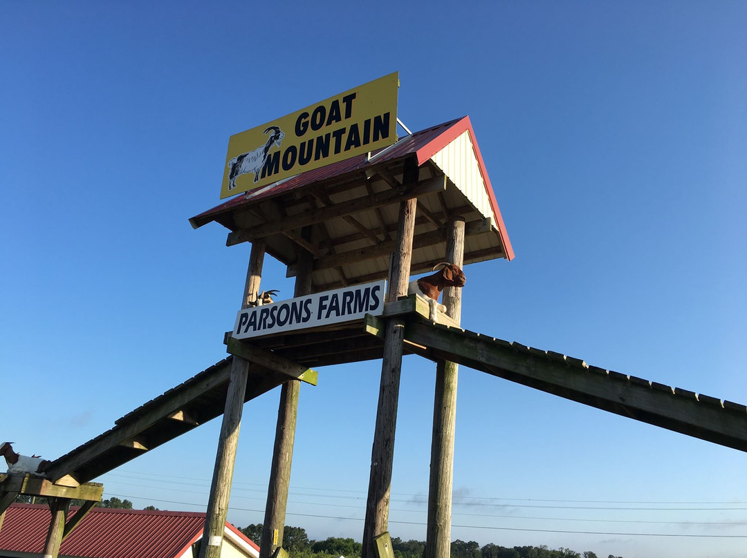 Frankford旅游景点-Parson's Farms