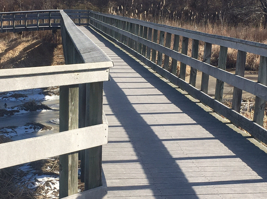Port Penn Interpretive Center景点图片