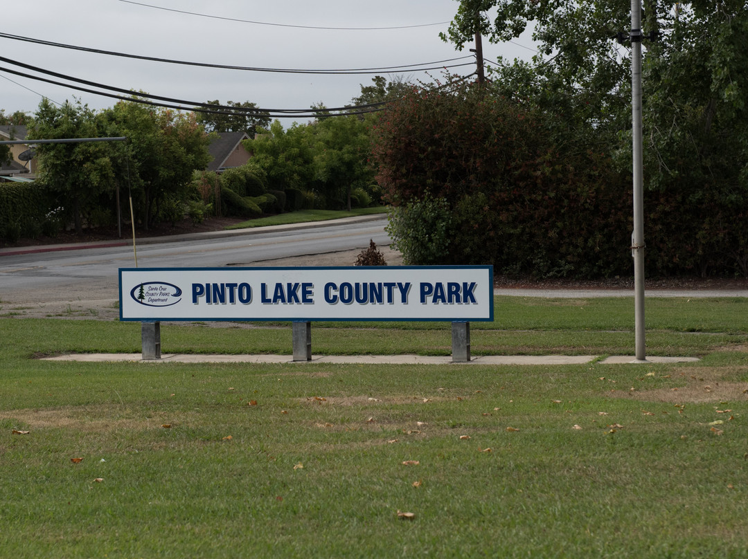 Pinto Lake County Park景点图片