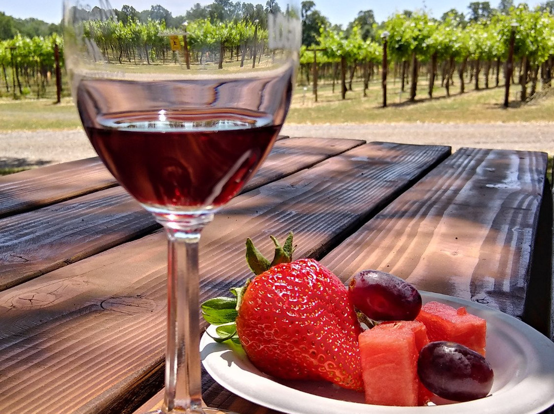 Anderson旅游景点-Burnsini Vineyards