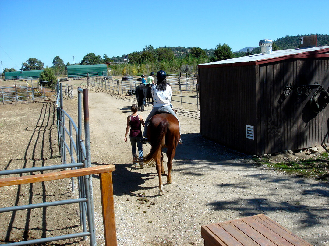 Baldwin Lake Stables-大熊湖必去景点