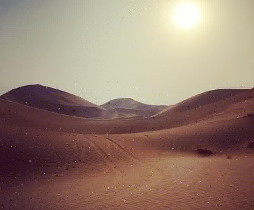 Off Road Adventure Tours-阿布扎比必去景点