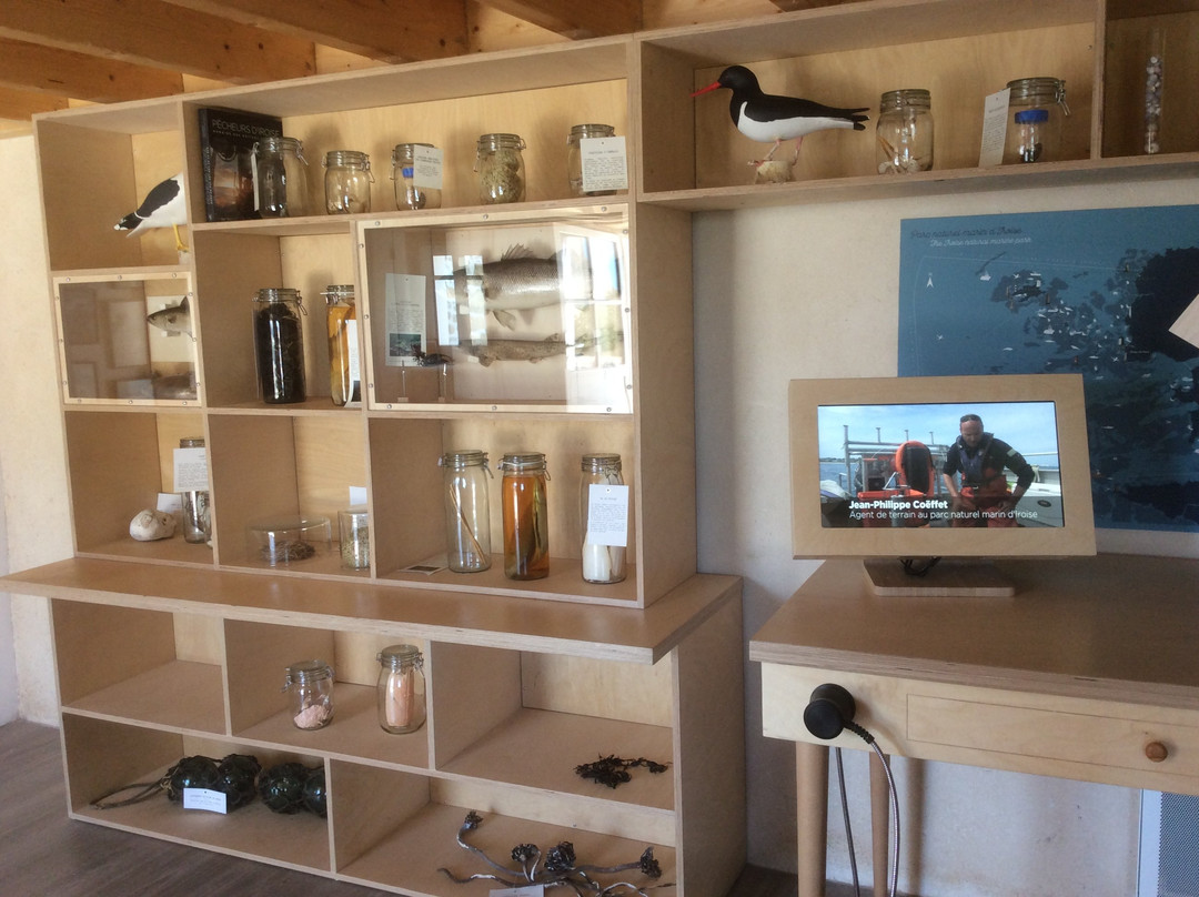 Maison de l'environnement insulaire-Ile Molene必去景点