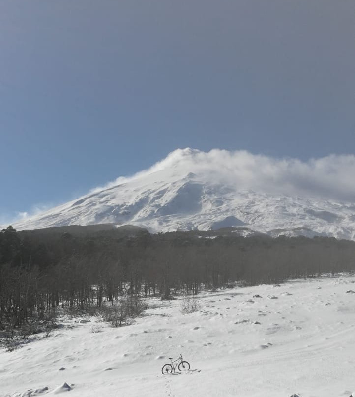 Tours Lican Lafken-Lican Ray必去景点