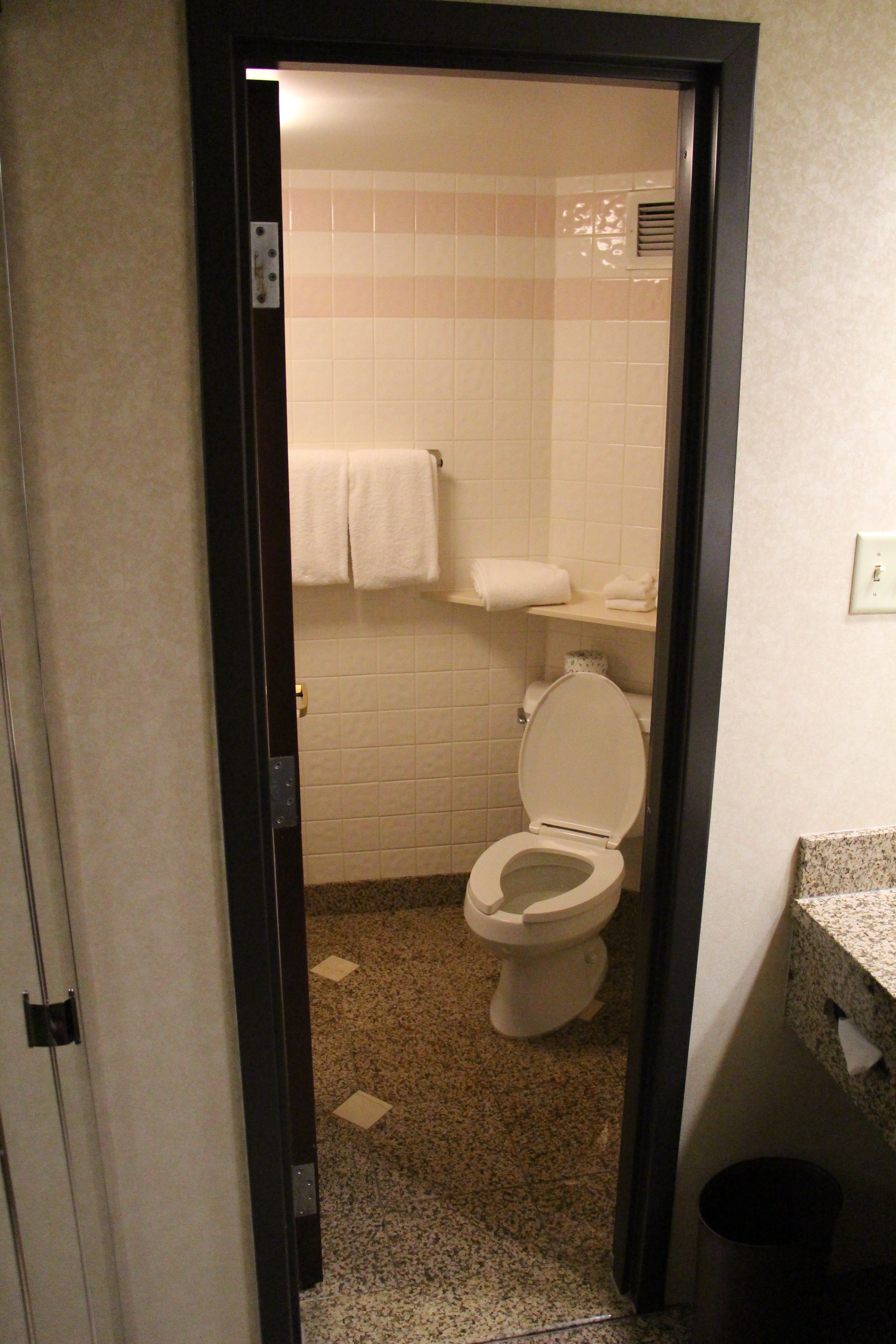 Pear Tree Inn St. Louis Convention Center-浴室