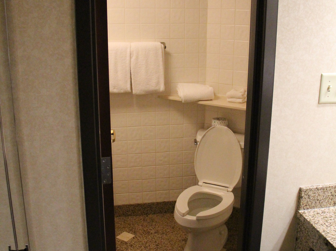 Pear Tree Inn St. Louis Convention Center主图