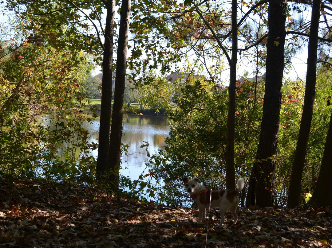 Chesapeake Arboretum景点图片