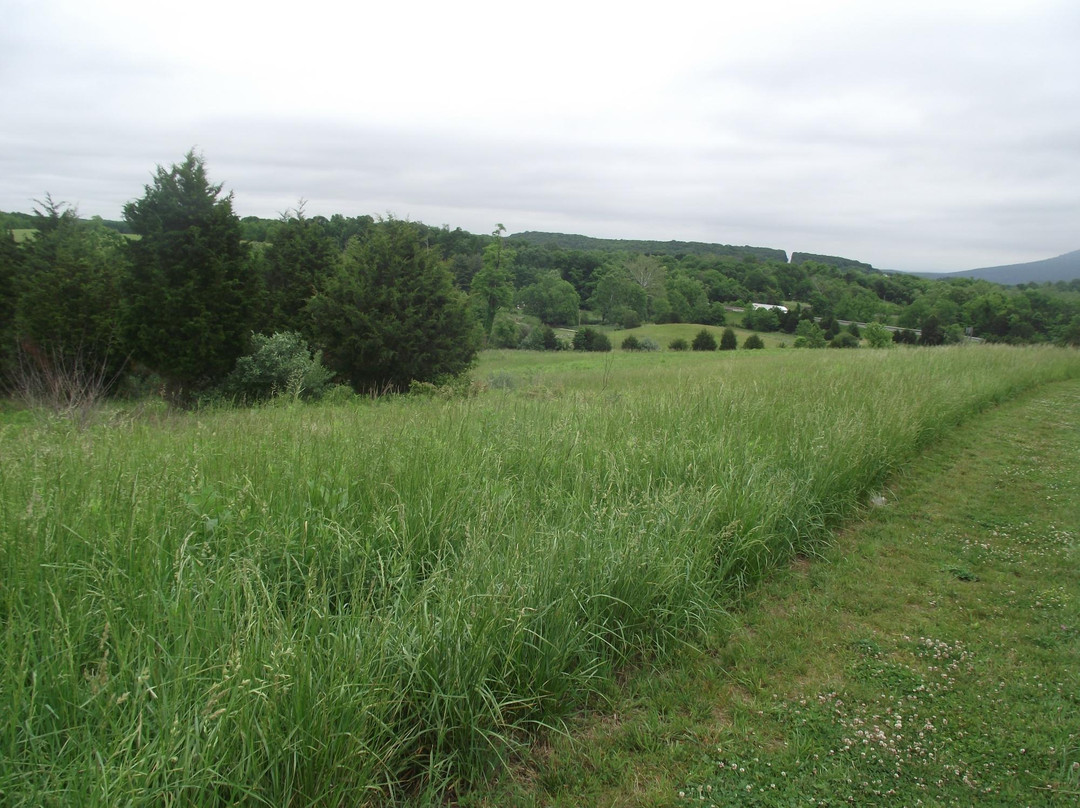 Fisher's Hill-Shenandoah必去景点