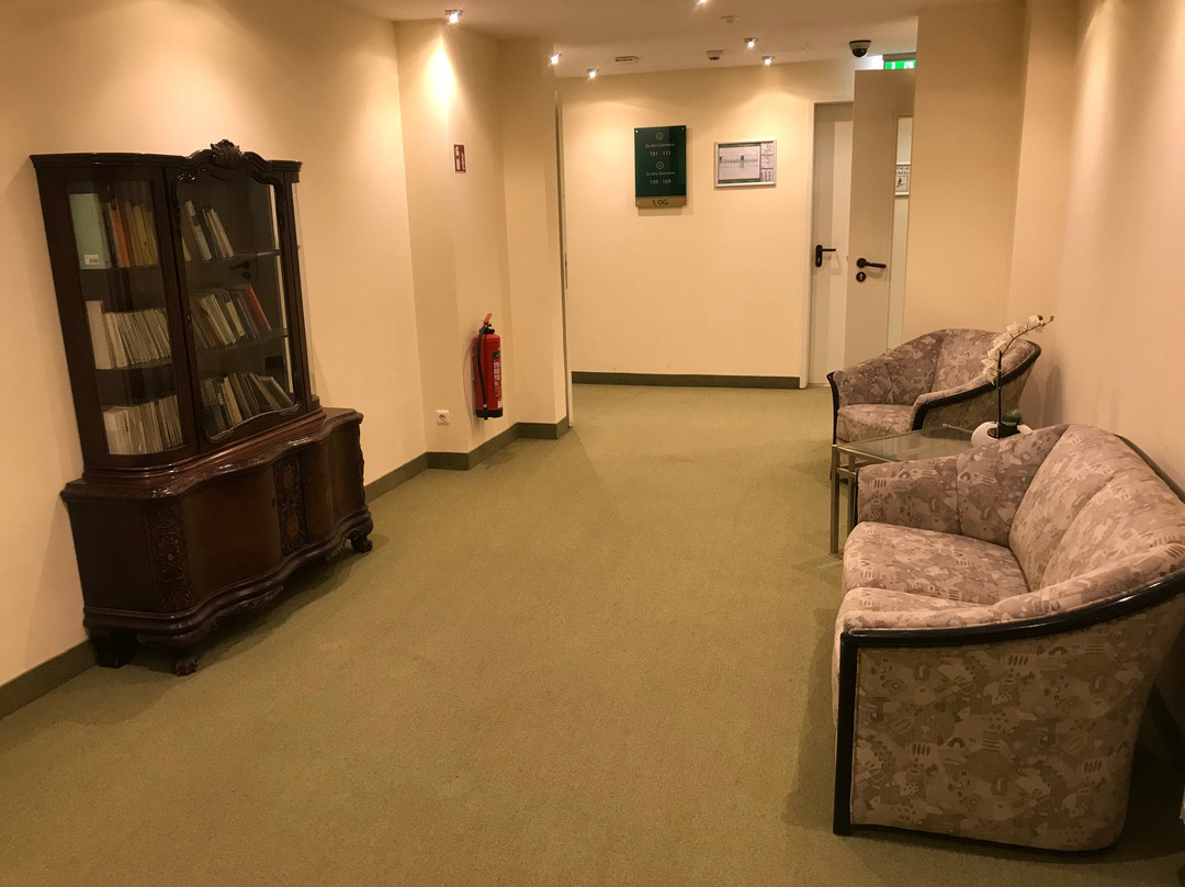 赫尔曼·冯·萨尔则阿尔法酒店主图