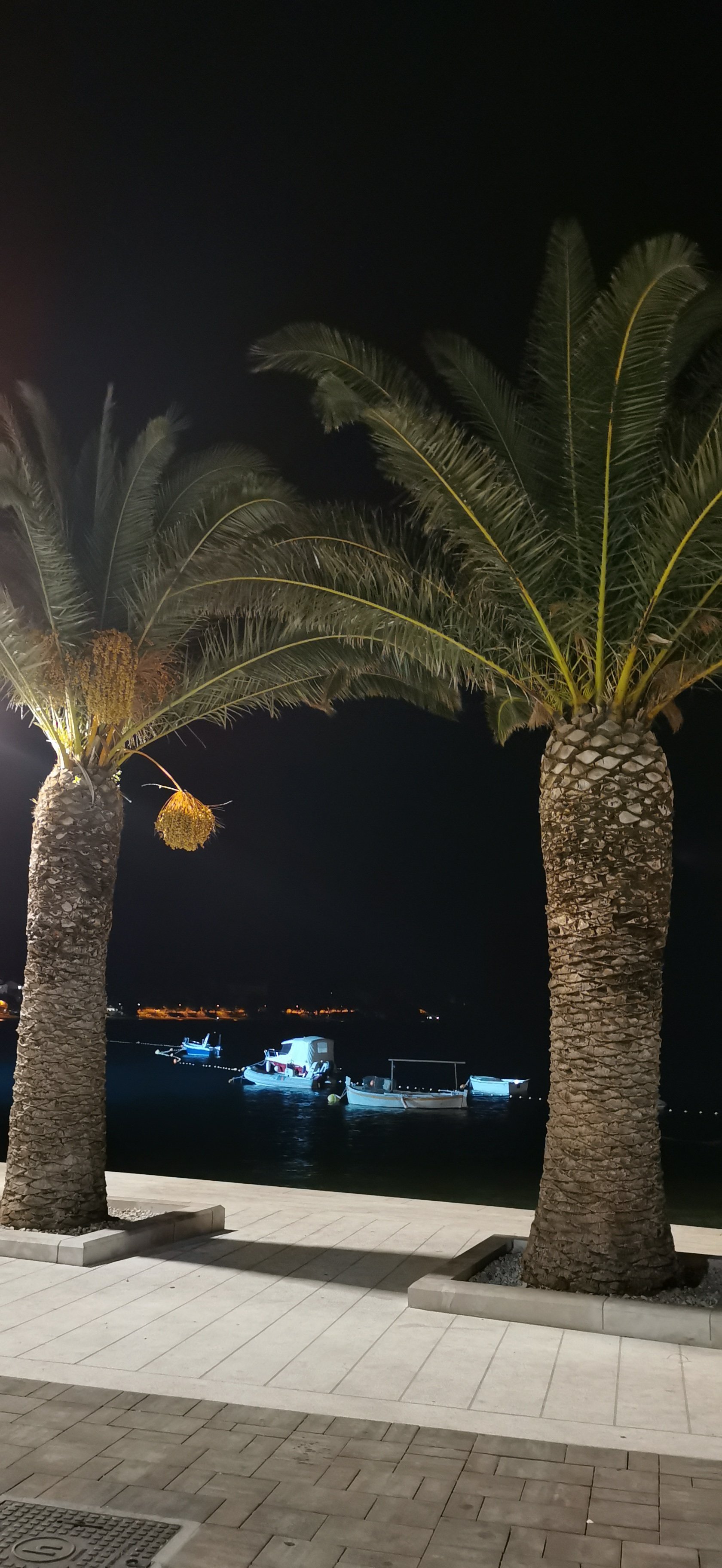 Hotel Saudade-portrait