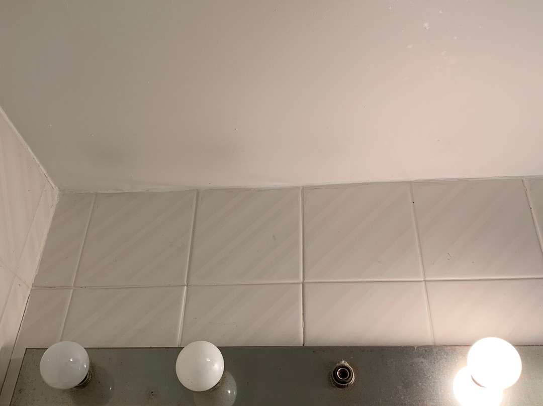 Auberge Alpine Inn主图